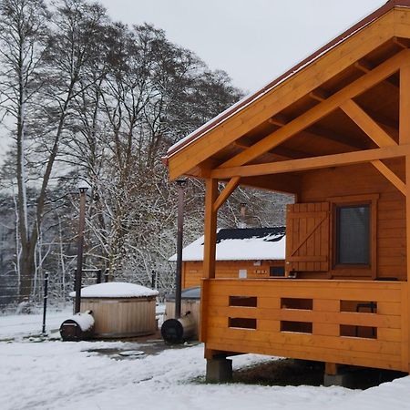 Willa Bogdanka Park Trzebin Zewnętrze zdjęcie